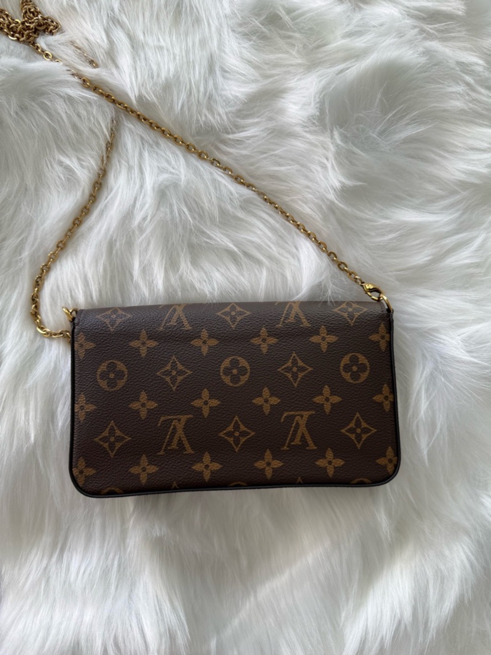 Louis Vuitton: Monogram Pochette Felicie w/ inserts AUTHENTIC - Picture 6 of 16